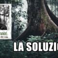 Nel mondo degli alberi con PEFC Italia e Antonio Brunori