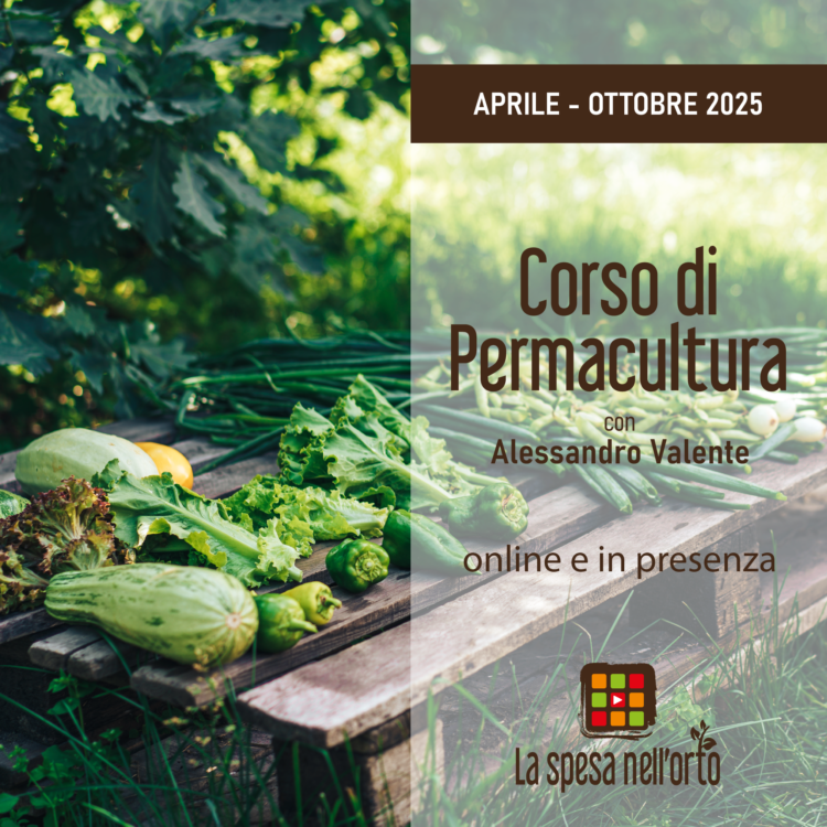 Ecologia e permacultura